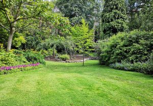 Optimiser l'expérience du jardin à Ferrières