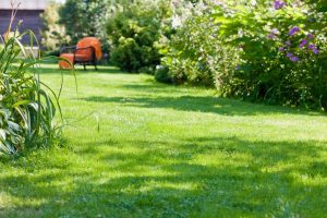 travaux jardin et paysage Ferrières